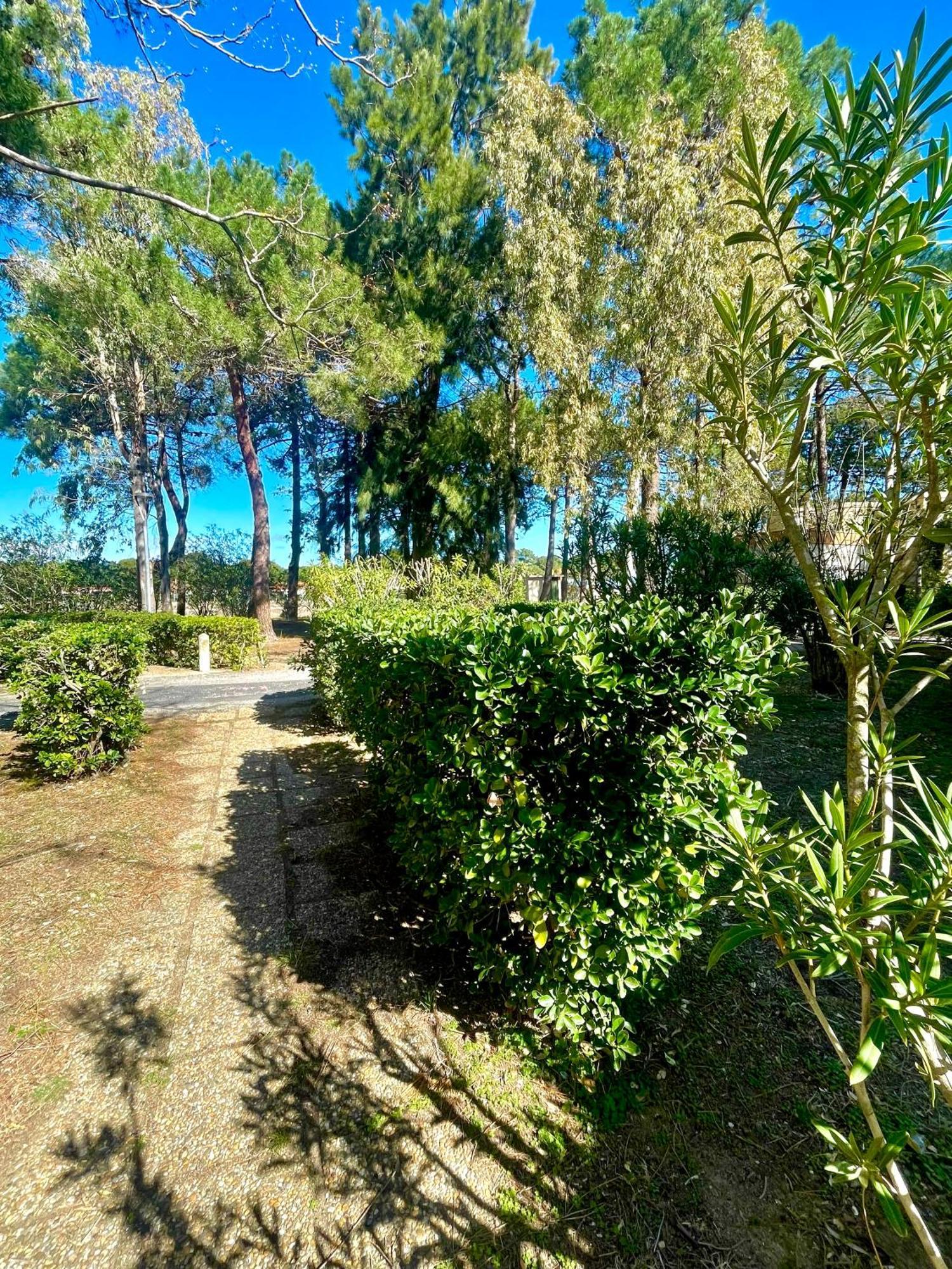 Appart Clim , Wifi, Plage 200 Metres Argelès-sur-Mer Εξωτερικό φωτογραφία